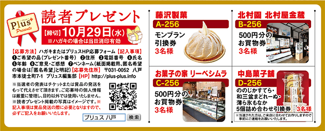 プリュス256 プレゼント 応募フォーム